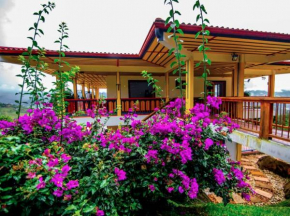 Hotel Terra Belén